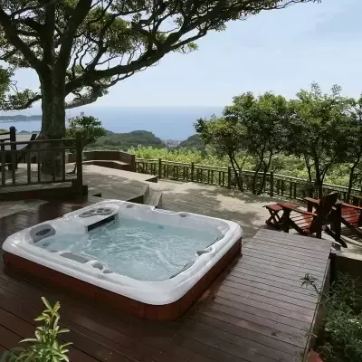 Спа бассейн Sundance Spas 880 Capri