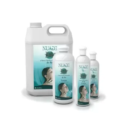 Аромат для спа-помещения Camylle Хвоя