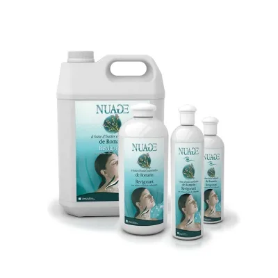 Аромат для спа-помещения Camylle Розмарин