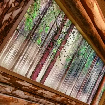 Подсветка Licht-2000 Surcafe