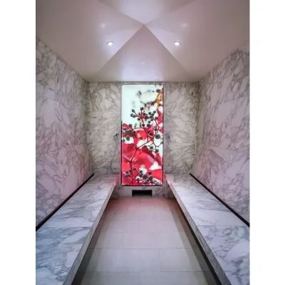 Подсветка Licht-2000 Surcafe