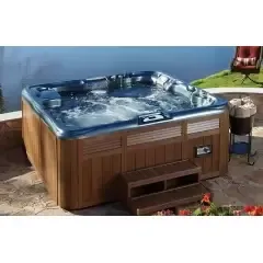 Спа бассейн Sundance Spas 880 Cameo