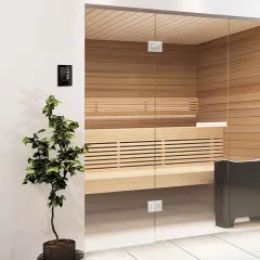 Пульт управления Tylo Elite Cloud