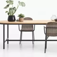 Коллекция мебели Vincent Sheppard Wicked