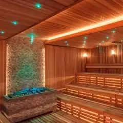 Печь для сауны Lang SAUNA-therm Тип 104 в интерьере