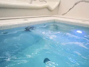 Строительство бассейна в г. Минск